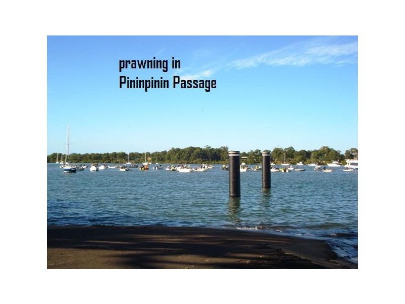 7  Brook Haven, Lamb Island QLD 4184