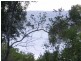 27 BEELONG ST, Macleay Island QLD 4184