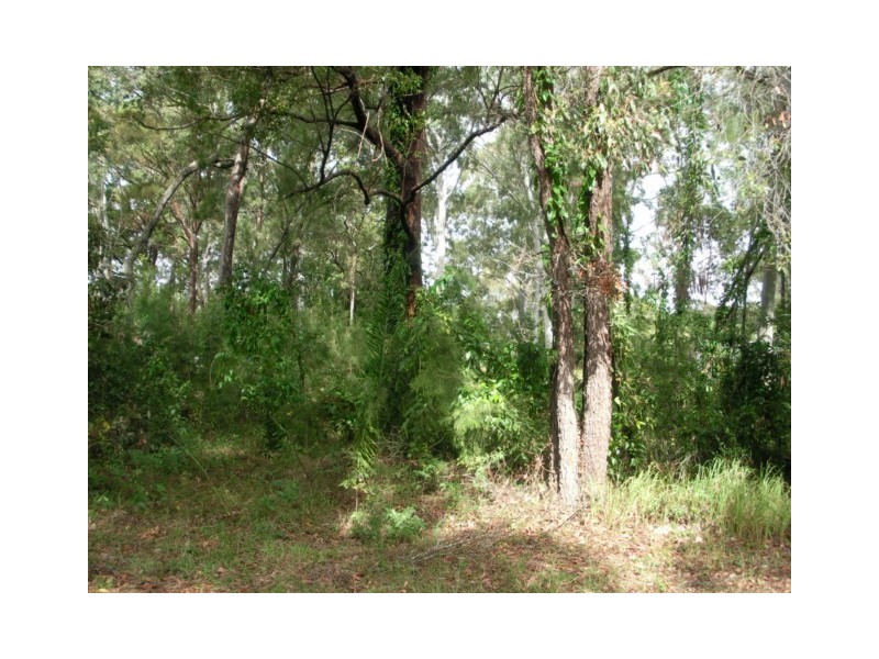 1 WALNUT COURT, Macleay Island QLD 4184