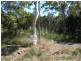 19 Ashton Street, Macleay Island QLD 4184