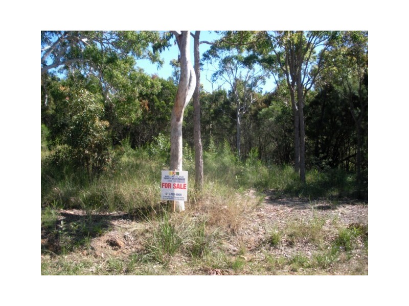 19 Ashton Street, Macleay Island QLD 4184