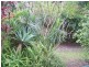 70-74 FRANCIS RD, Macleay Island QLD 4184