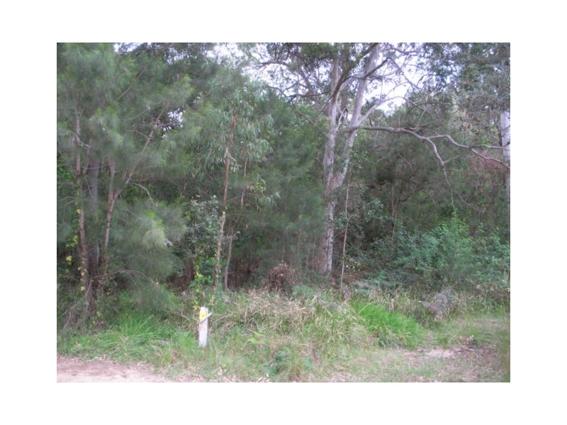 19 NOOGIE ST, Macleay Island QLD 4184