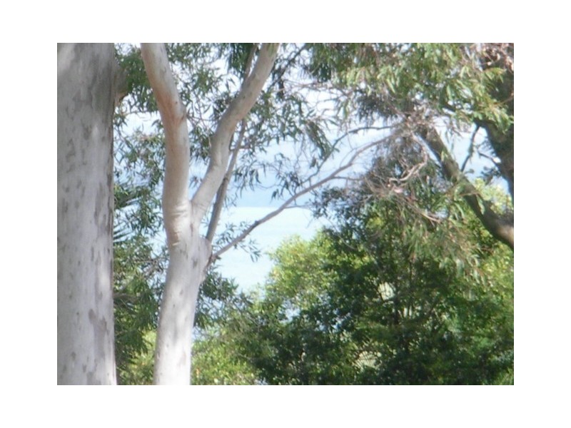 12 ATTUNGA ST, Macleay Island QLD 4184