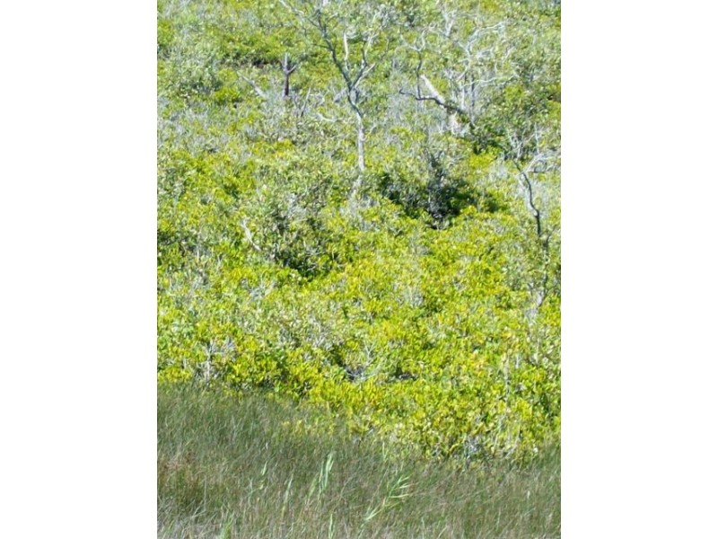 70 Treasure Island Avenue, Karragarra Island QLD 4184