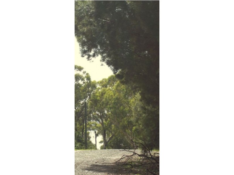 14 Leanne Street, Macleay Island QLD 4184