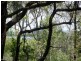 32 CHARLES TCE, Macleay Island QLD 4184