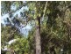 12 ILYA ST, Macleay Island QLD 4184