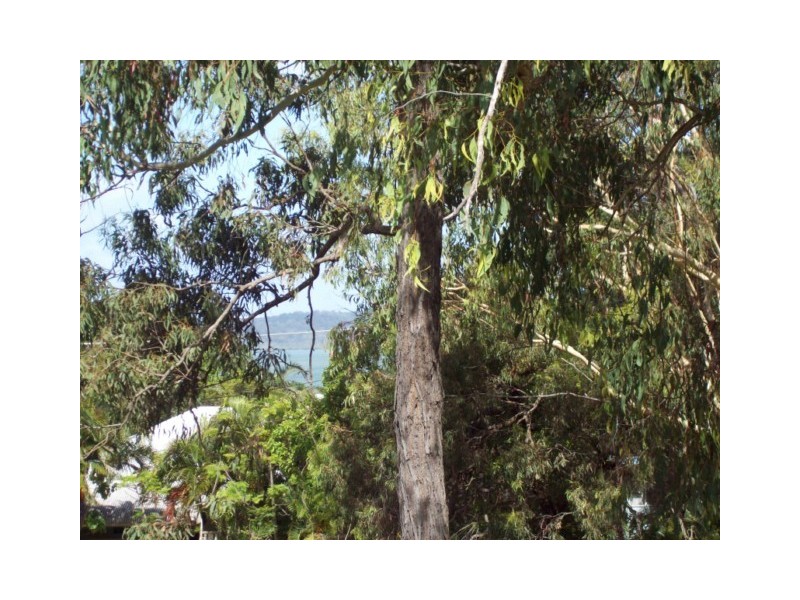 12 ILYA ST, Macleay Island QLD 4184