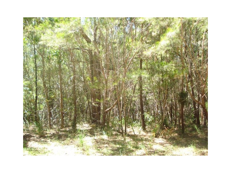 15 Flora Street, Lamb Island QLD 4184