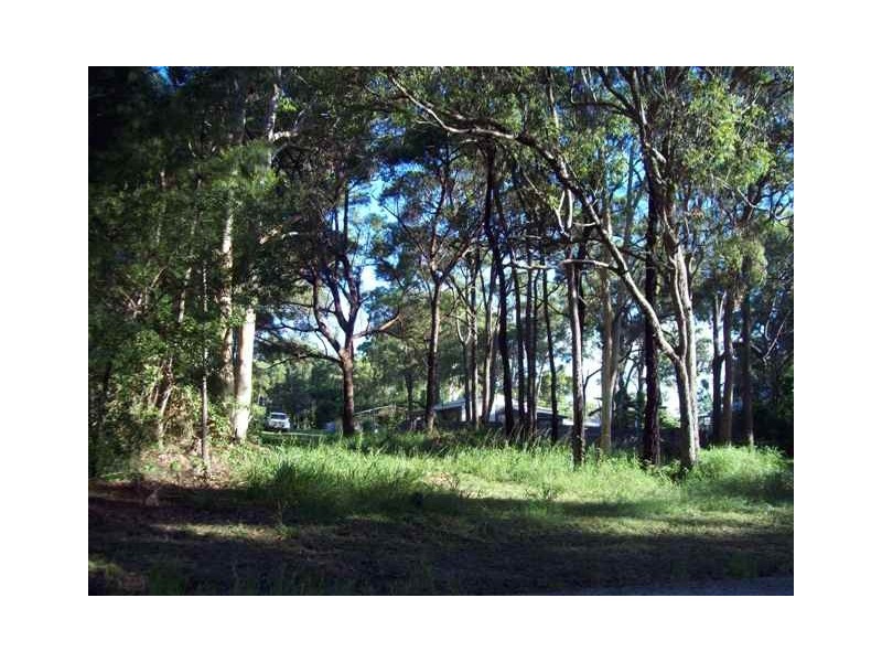 26 Noogie Street, Macleay Island QLD 4184