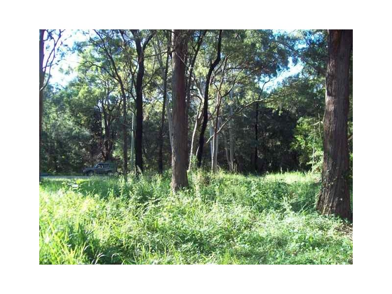 26 Noogie Street, Macleay Island QLD 4184