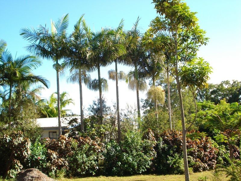 47 Halcyon Street, Lamb Island QLD 4184
