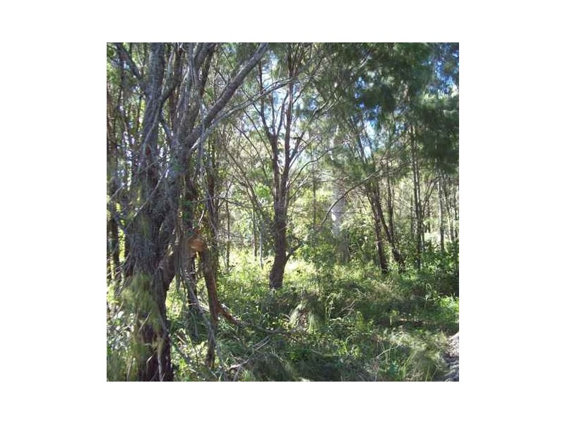 30 Camena Street, Macleay Island QLD 4184