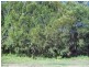 30 Camena Street, Macleay Island QLD 4184