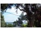 14 Whiting Street, Macleay Island QLD 4184