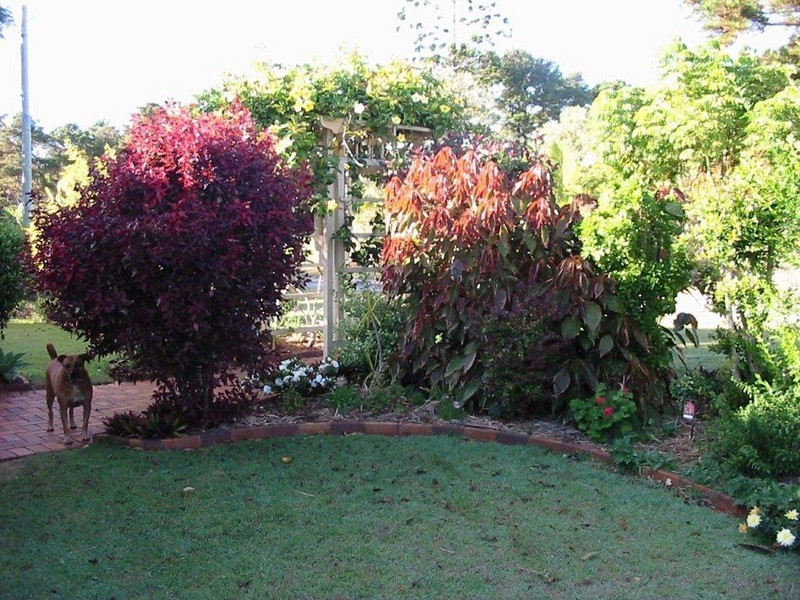 33 Cavendish Street, Russell Island QLD 4184