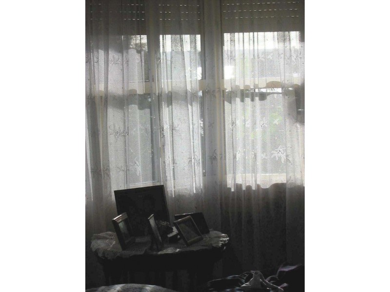 33 Cavendish Street, Russell Island QLD 4184