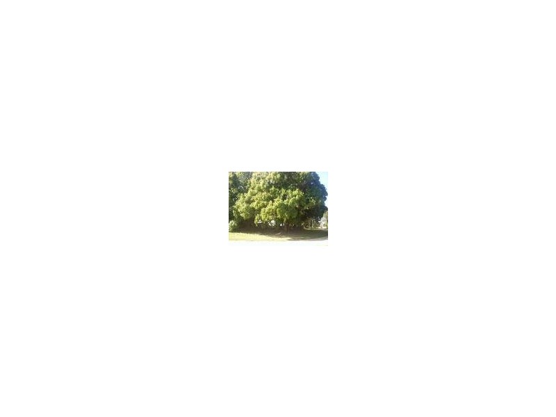 7 Mango Crescent, Macleay Island QLD 4184