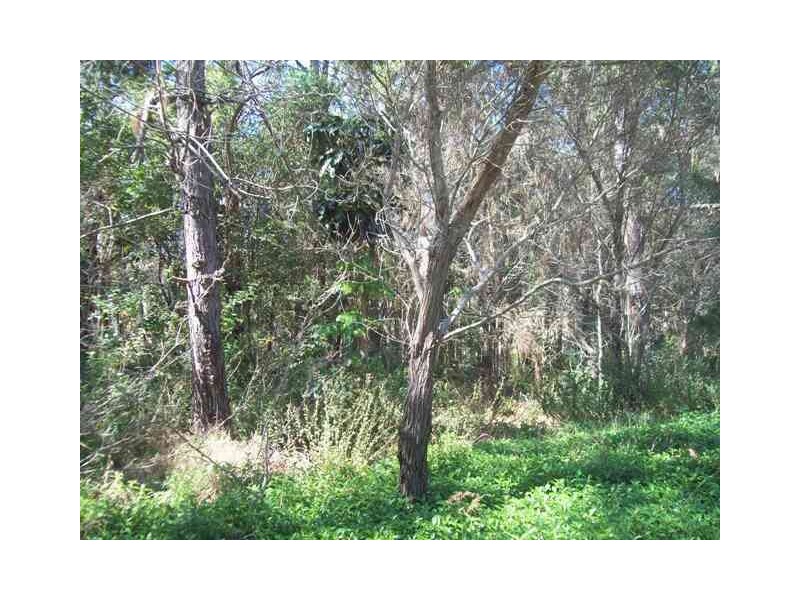 24 Lemontree, Macleay Island QLD 4184