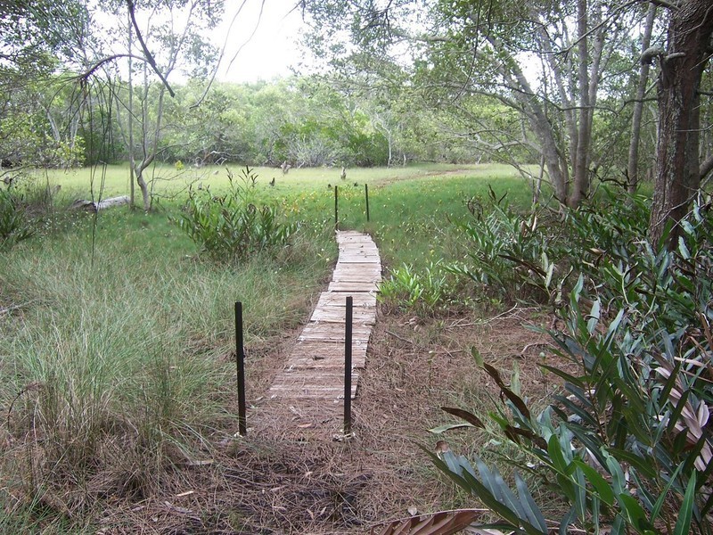 66 Charles Terrace, Macleay Island QLD 4184