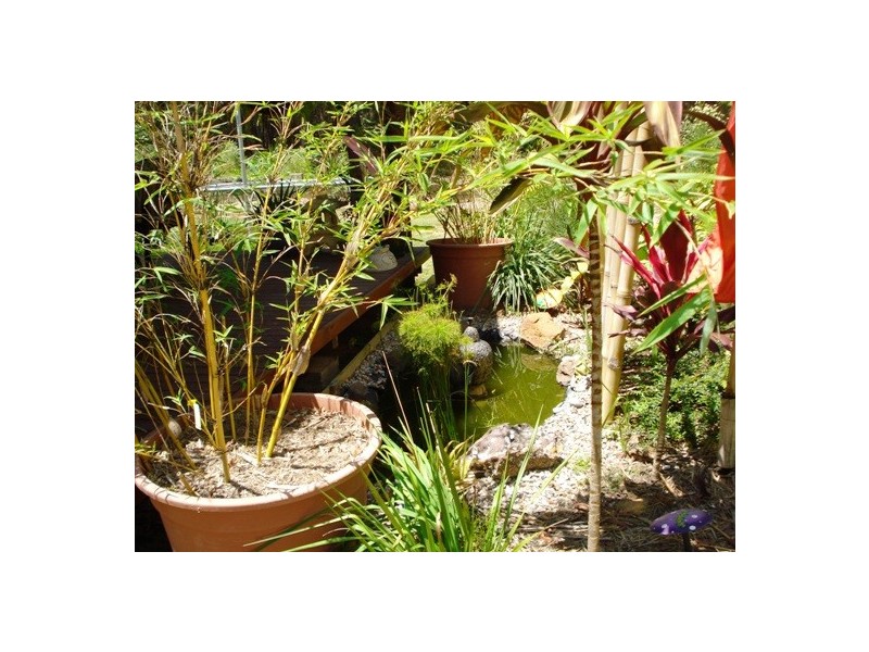 2 President Terrace, Macleay Island QLD 4184