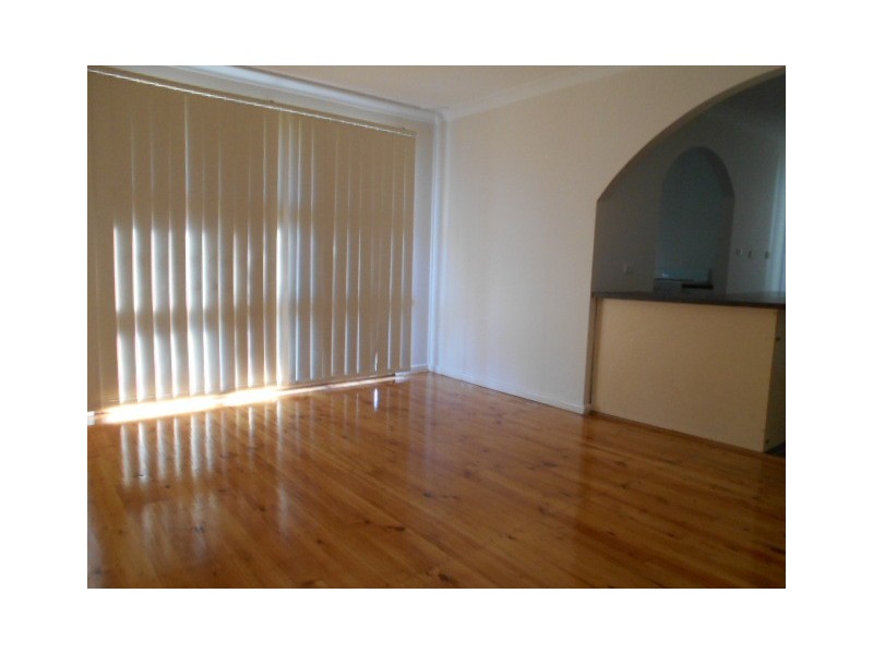 17 Hales Place, Blackett NSW 2770