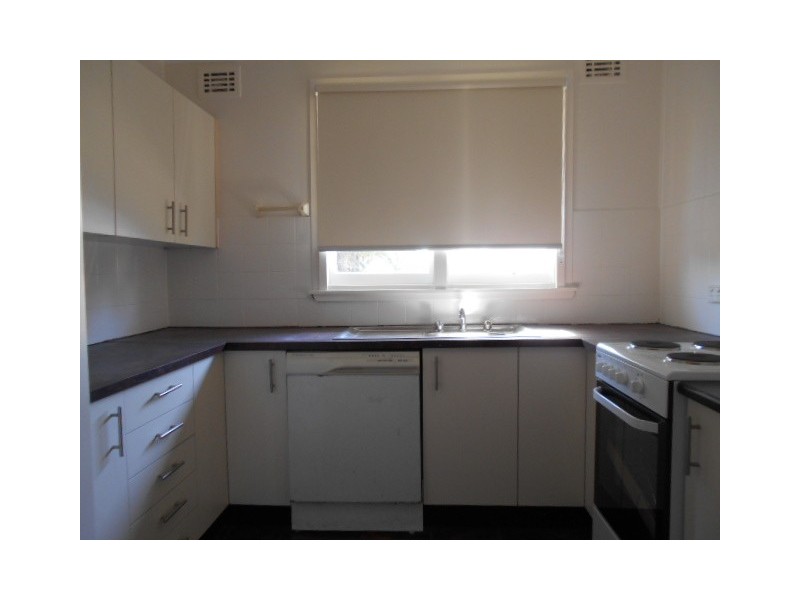 17 Hales Place, Blackett NSW 2770