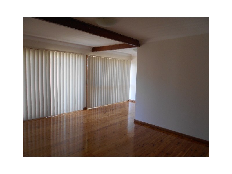 17 Hales Place, Blackett NSW 2770