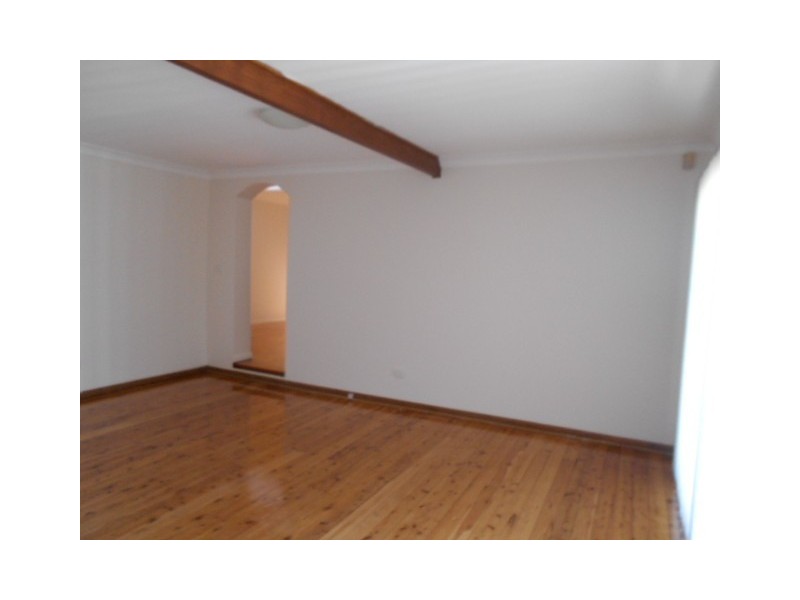 17 Hales Place, Blackett NSW 2770