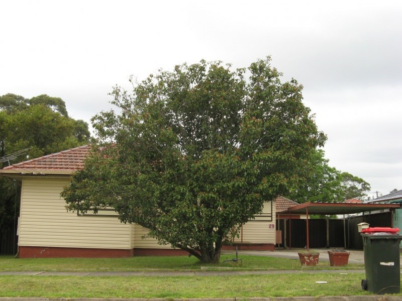 29 – 33  PETER ST, Blacktown NSW 2148