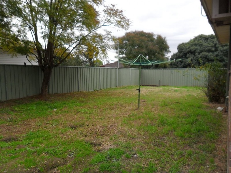 17 HALES PLACE, Blackett NSW 2770