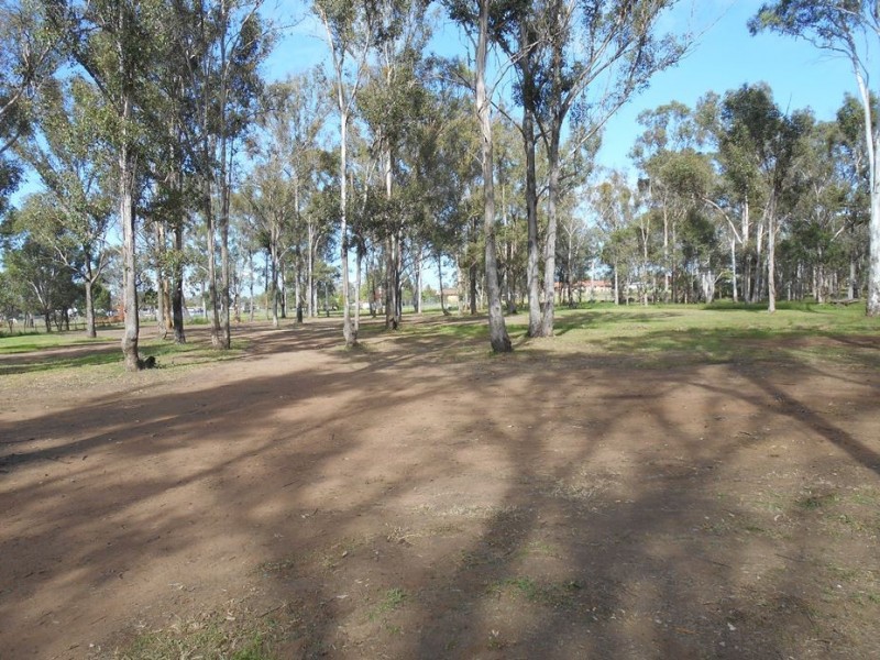 11 Vine Street East, Schofields NSW 2762