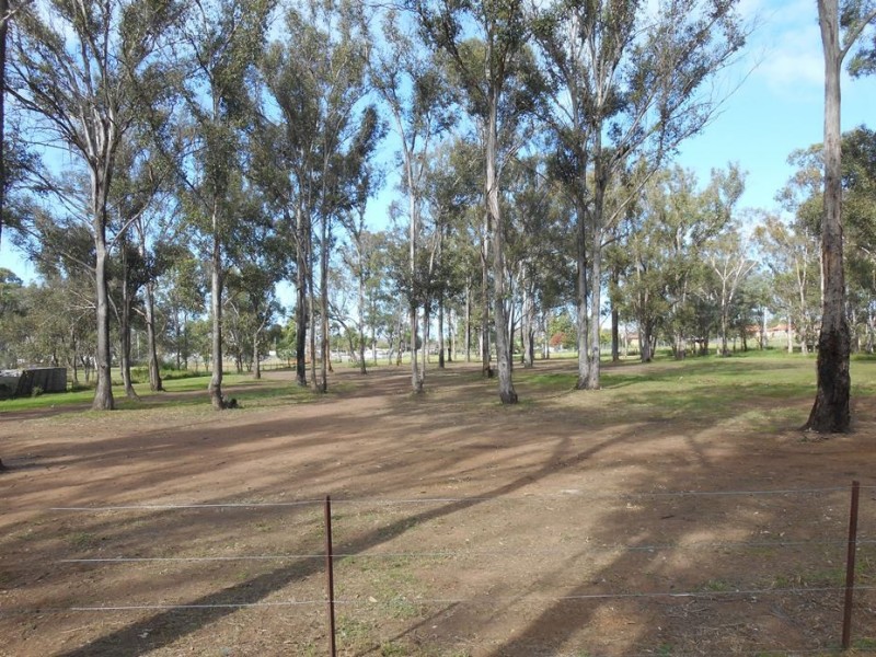 11 Vine Street East, Schofields NSW 2762