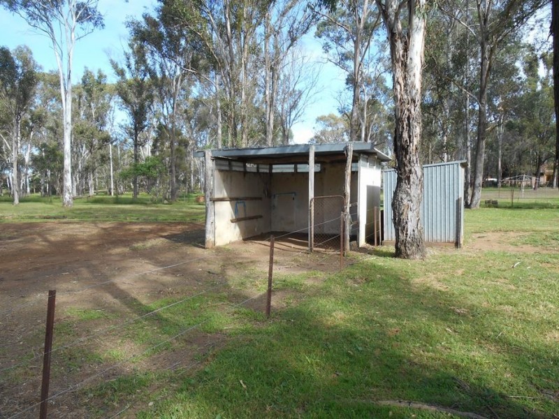 11 Vine Street East, Schofields NSW 2762