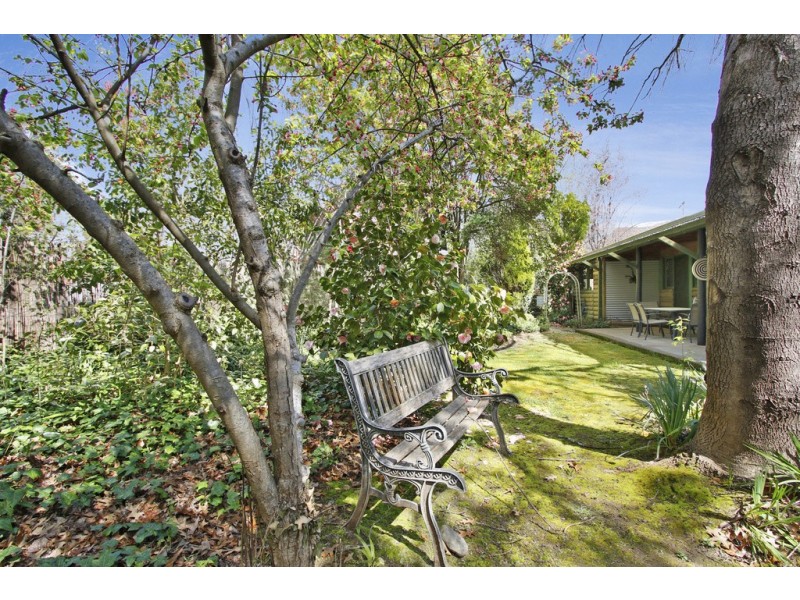 67 Cobden Street, Bright VIC 3741