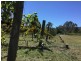 3556 Wangaratta Road, Edi VIC 3678