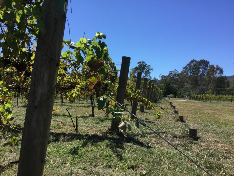 3556 Wangaratta Road, Edi VIC 3678