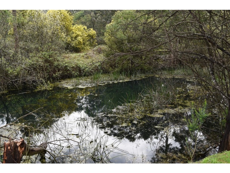 7377 Great Alpine Road, Bright VIC 3741