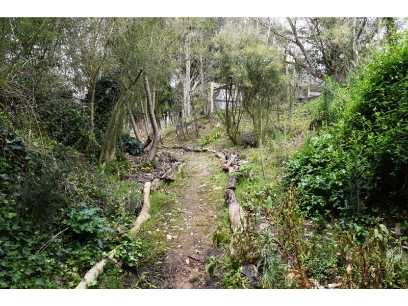 7377 Great Alpine Road, Bright VIC 3741