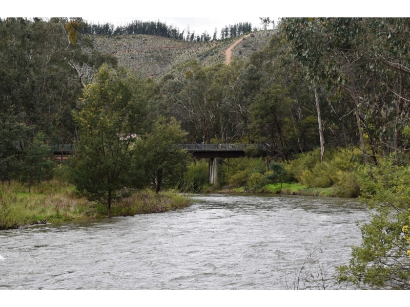 7377 Great Alpine Road, Bright VIC 3741