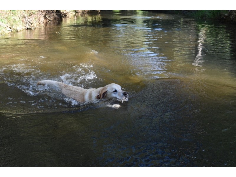 606 Morses Creek Road, Wandiligong VIC 3744