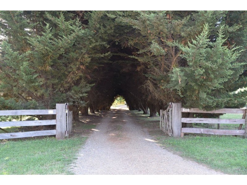 606 Morses Creek Road, Wandiligong VIC 3744