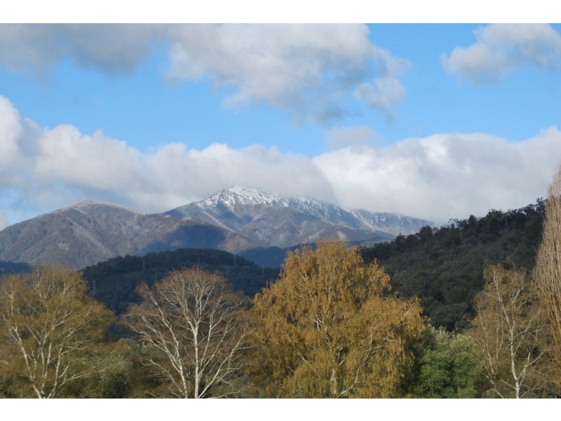 217 Simmonds Creek Road, Tawonga South VIC 3698