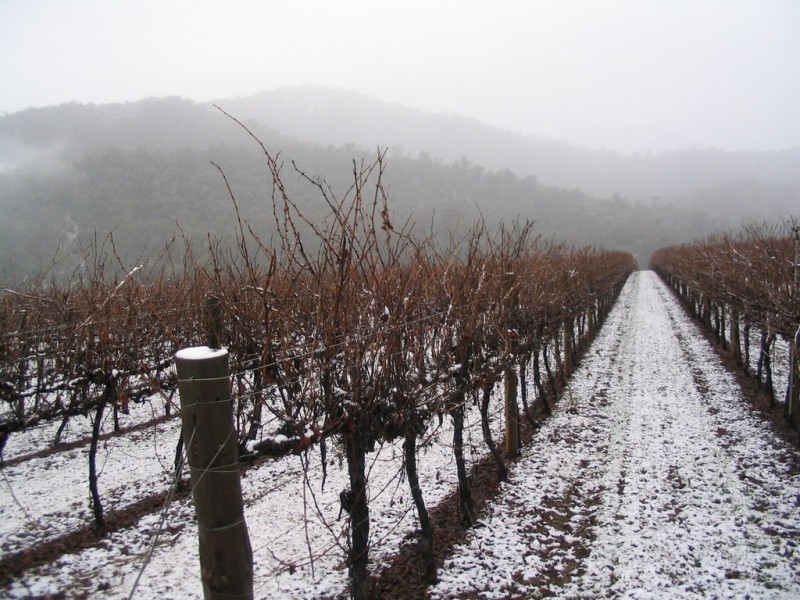 217 Simmonds Creek Road, Tawonga South VIC 3698