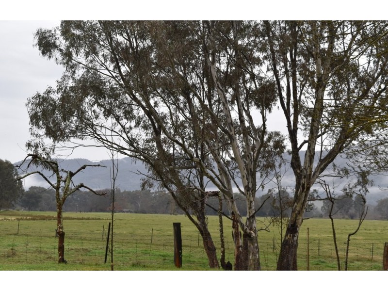 6252 Great Alpine Road, Eurobin VIC 3739