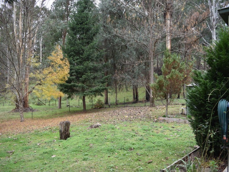 73 Feathertop Track, Harrietville VIC 3741