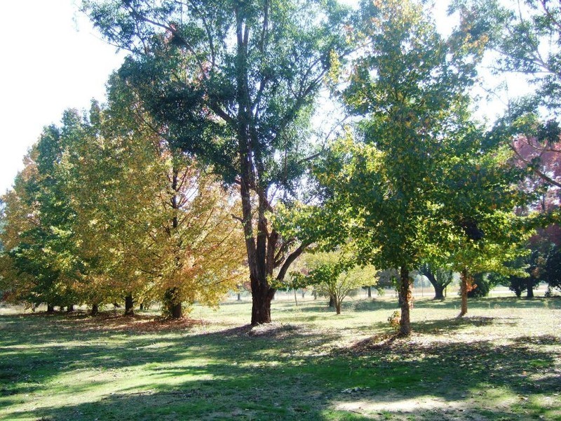 20 Hughes Lane, Eurobin VIC 3739