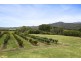5564 Great Alpine Road, Ovens VIC 3738