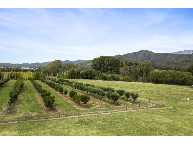 5564 Great Alpine Road, Ovens VIC 3738
